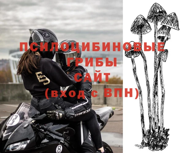 прущая мука Нефтекумск