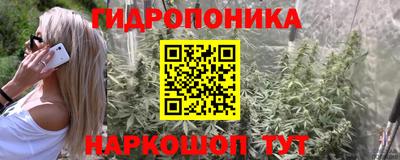 mdpv Заводоуковск