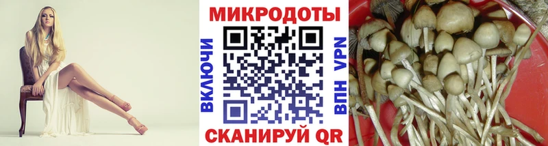 Галлюциногенные грибы Cubensis  Муром 