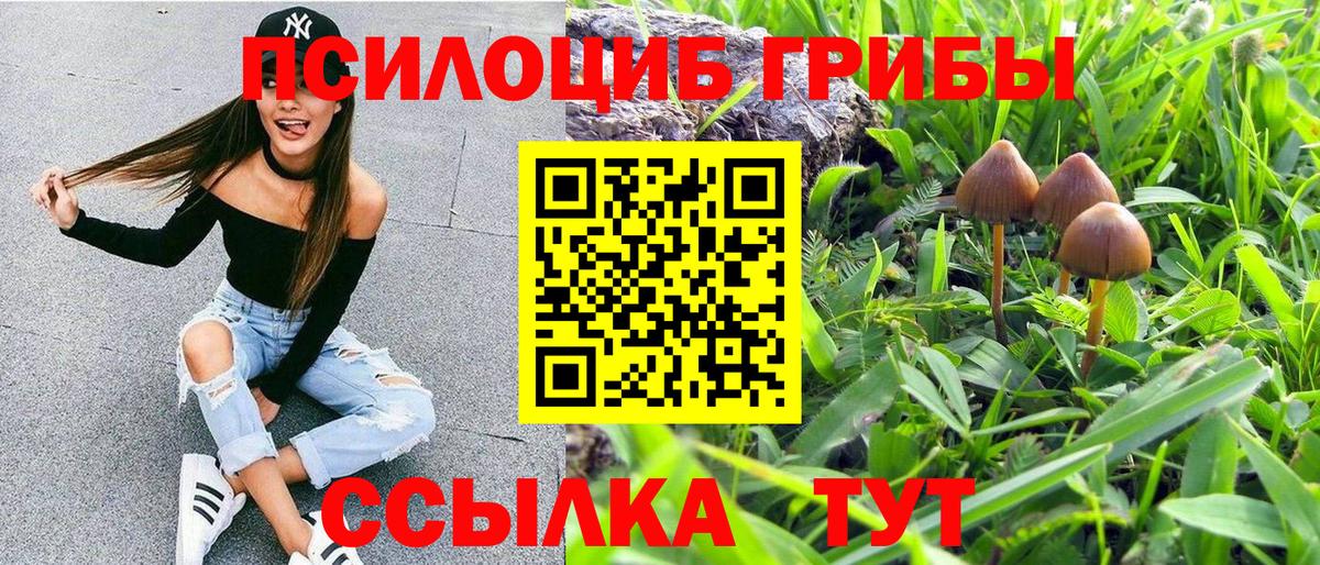 Галлюциногенные грибы мицелий Муром