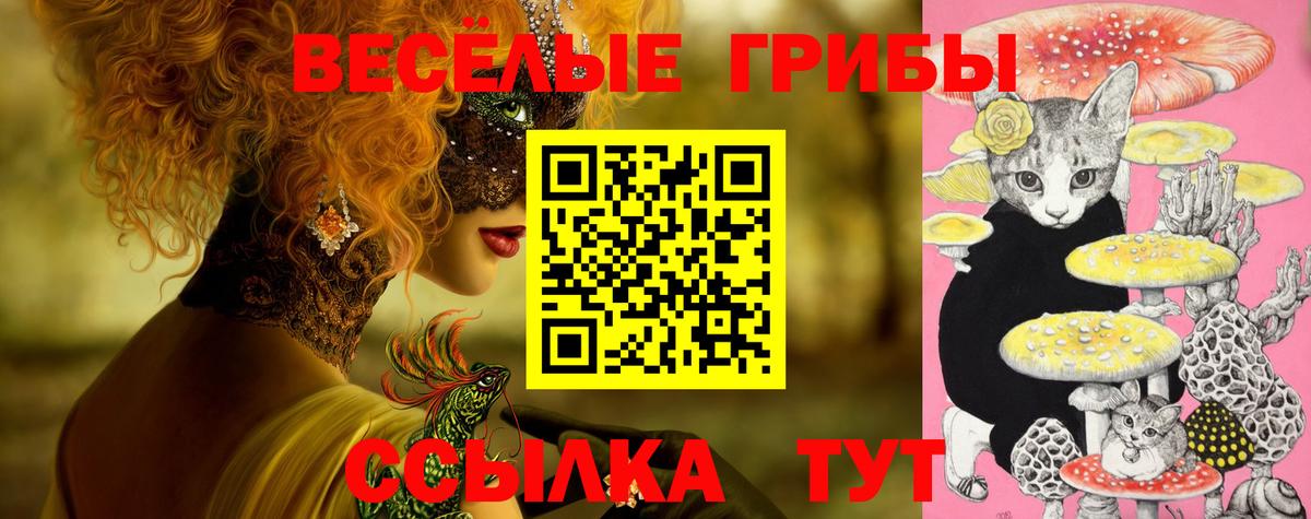 даркнет сайт  Галлюциногенные грибы Cubensis  Вход с VPN  Муром 